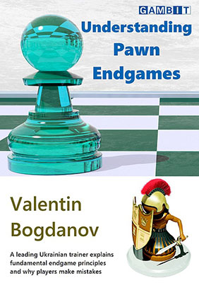 Understanding pawn endgames